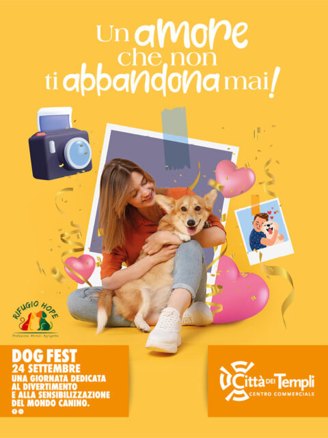 dog-fest-24-cover